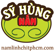 nấm linh chi sỹ hùng