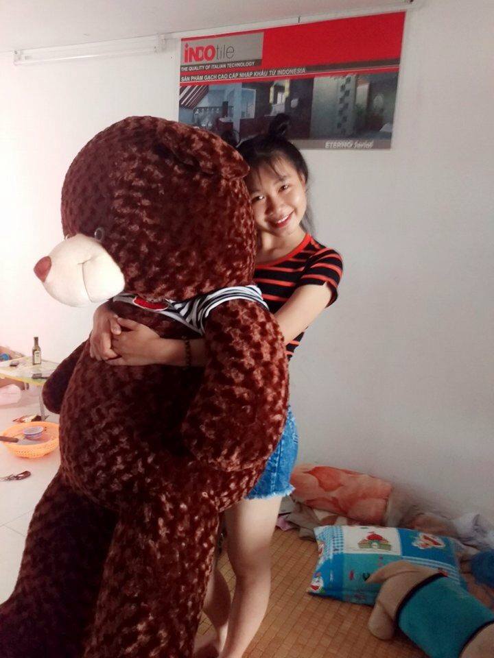 gấu teddy 