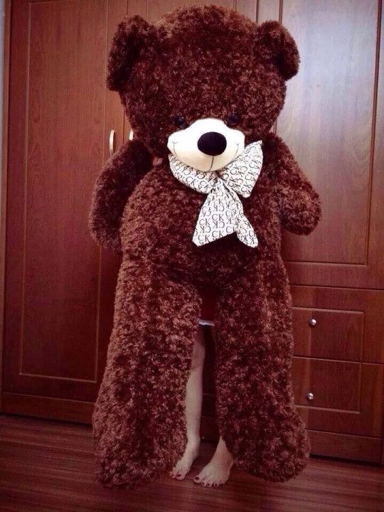 gấu teddy lớn