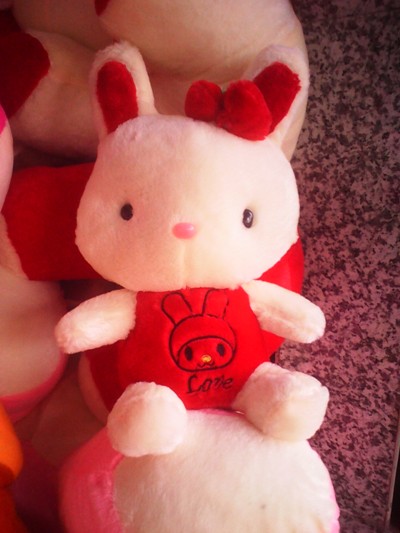 Thỏ cony