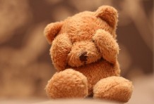 Teddy bears for sale cheap Hochiminh city