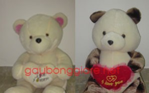 bear bug