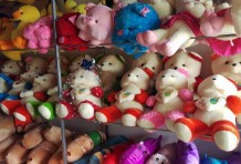 Wholesale teddy bear tphcm