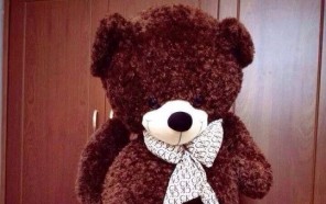 Gấu bông teddy