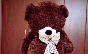 Teddy bear