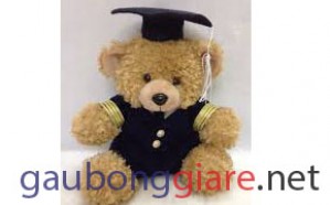 Gấu bông tốt nghiệp
