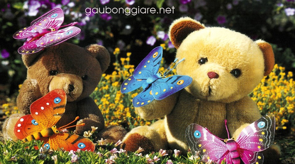 Beautiful Teddy Bears
