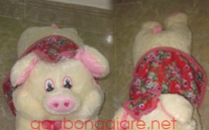 Pigs are cotton