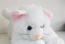 Mèo bông