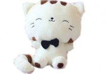 Mèo trắng đầu to