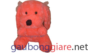 chó bông tai dài chó bông tai dài