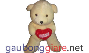 Gấu bông ôm tim Gấu bông ôm tim