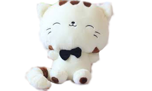 Mèo trắng đầu to Mèo trắng đầu to